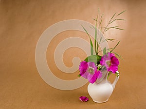 Two flowers and leaves of dog rose and some meadow grass in little white ceramic jug and lone doge rose petal on the background of