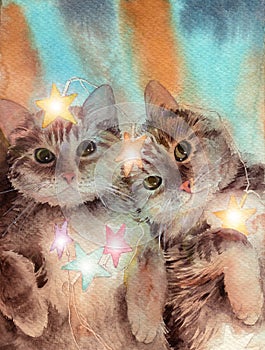 Two fluffy cute cats with colorful Christmas lights