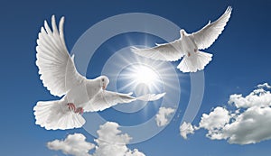 Two flying doves