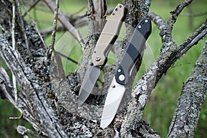 Two folding knives on a branch