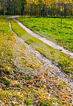 Two footpaths among the grass are parallel and lead in the same direction. Autumn landscape