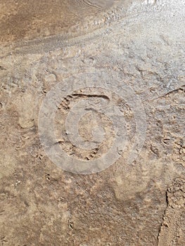 Two footprints on wet sand