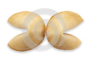 Two fortune cookie prediction top view