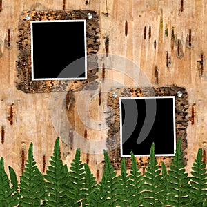 Two frame to birchen bark