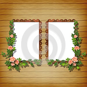 Two frameworks for photo