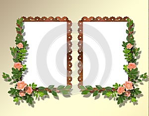 Two frameworks for photo