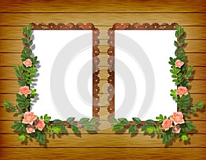 Two frameworks for photo