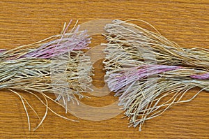 Two frayed rope ends, broken and severed in the middle on a plain wooden background.
