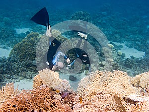 Two freediver are diving between corals