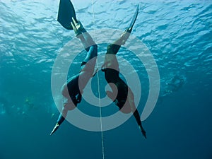 Two freedivers make simultaneous dive in Bue Hole