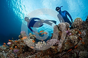 Two freedivers swim over the vivid coral reef