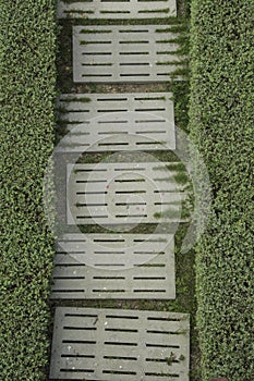 Two frence grass with white brick.