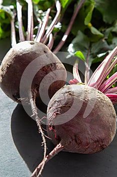 Fresh beets with leaves on a black background