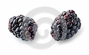 Two fresh blackberries macro
