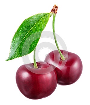 Two fresh cherries with leaf isolated on white background