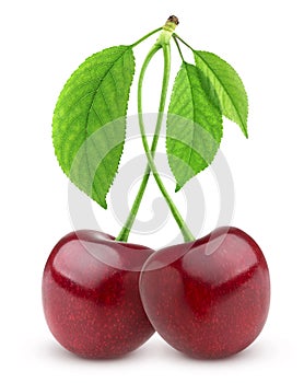 Two fresh cherries on white background