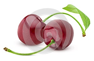 Cherry isolated. Two fresh cherries on white background