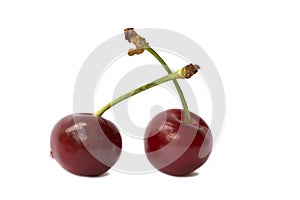 two fresh cherry fruits isolated on white background