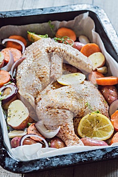 Two fresh chicken wings ready for cooking