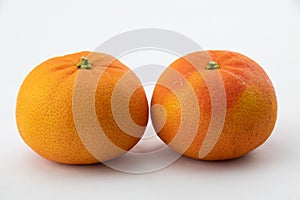 Two Fresh clementine citrus fruits