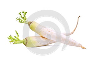 Two fresh daikon radish isolated on the white