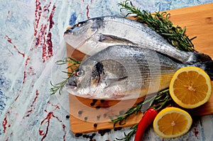Two Fresh Dorado fish with lemon, onion and rosemary on light marble stone background