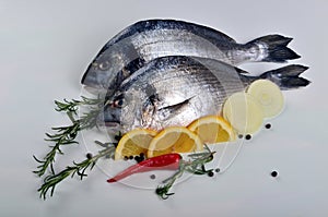 Two Fresh Dorado fish with lemon, onion and rosemary on white background