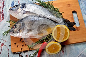 Two Fresh Dorado fish with lemon, onion and rosemary on white background