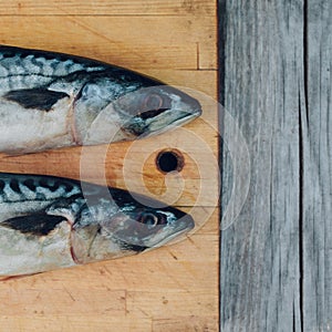 two fresh fish on a cutting Board, cooking mackerel,fish tails close up