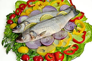 Two fresh fish in a glass dish on a vegetable base. Dicentrarchus labrax