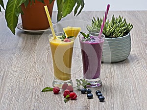 Two fresh fruit smoothies with berries lying in front of glasses