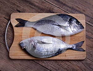 Two fresh gilt-head bream fish on cutting board