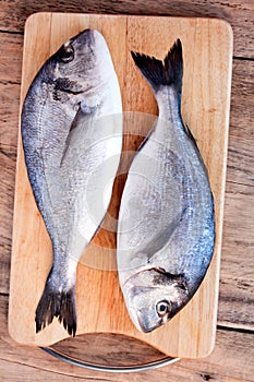 Two fresh gilt-head bream fish on cutting board