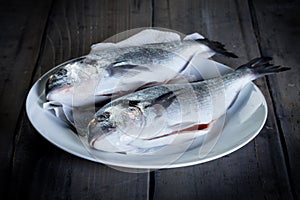 Two fresh gilthead
