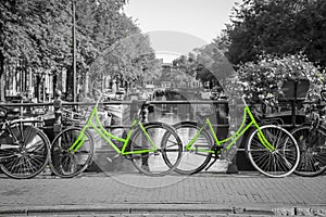 Two fresh green bikes on the streets of Amsterdam