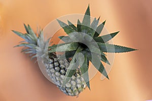 Two fresh green pineapples on orange background. Tropical summer fruit. Top View