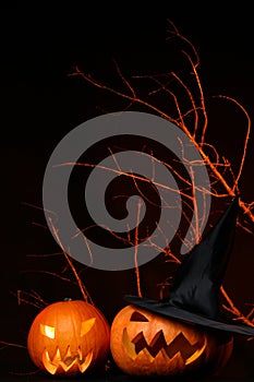 Two fresh halloween pumpkin on black