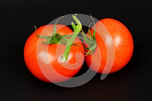 Two fresh juicy red bunch tomatoes on black background