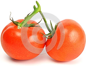 Two fresh juicy red bunch tomatoes on white