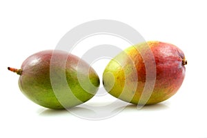 Two fresh mango fruit
