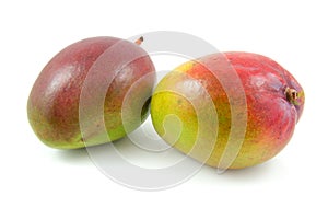 Two fresh mango fruit