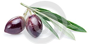 Two fresh olives with leaves.