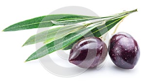 Two fresh olives with leaves.