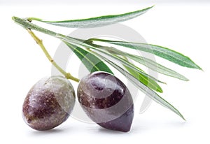 Two fresh olives with leaves on the white background