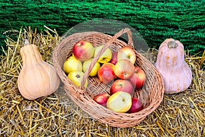 Two fresh organic orange pumpkins and red apples in a wooden basket displayed on dried grass for sale at a steed food market, trad