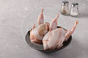 Two fresh organic quails on a plate on a gray background, Copy space