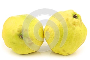 Two fresh quince fruits Cydonia oblonga photo