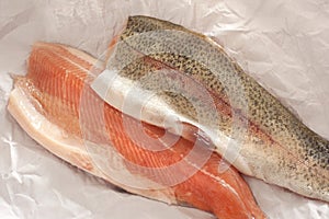Two fresh rainbow trout fillets