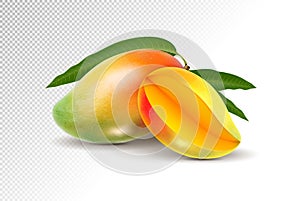 Two fresh realistic mango fruit on a transparent background