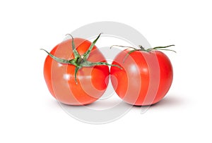 Two Fresh Red Juicy Tomato